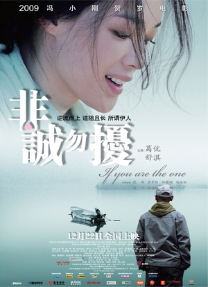非诚勿扰 (2008)