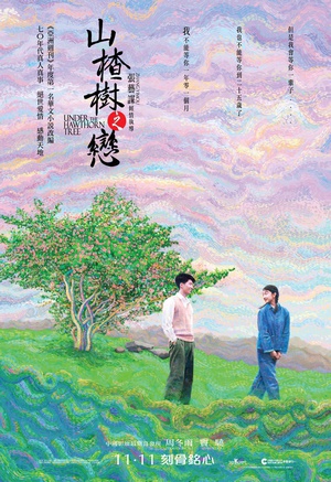 山楂树之恋 (2010)