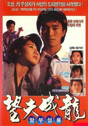 望夫成龙 (1990)