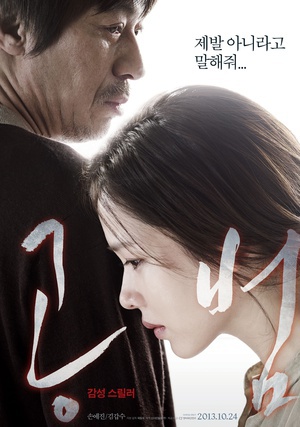 共犯 (2013)