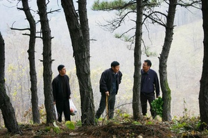 完美人生 (2012)