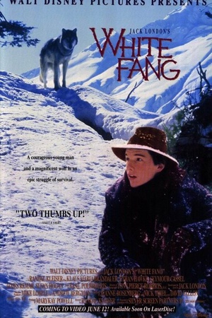 雪地黄金犬 (1991)