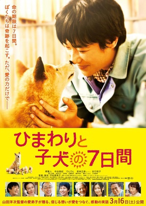向日葵与幼犬的7天 (2013)