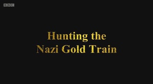探寻纳粹黄金列车 (2016)