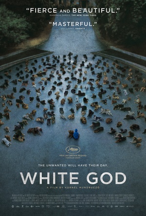 白色上帝 (2014)