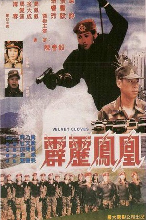 霹雳凤凰 (1996)