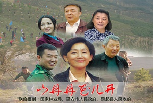 山丹丹花儿开 (2015)