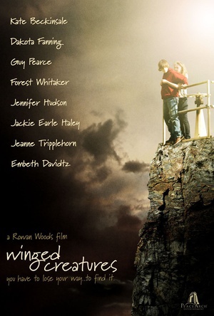飞行物 (2008)
