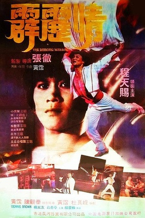 霹雳情 (1983)