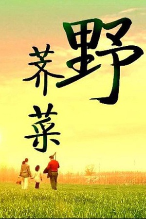 野荠菜 (2013)