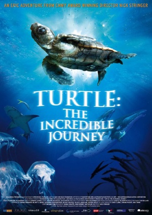 海龟奇妙之旅 (2009)