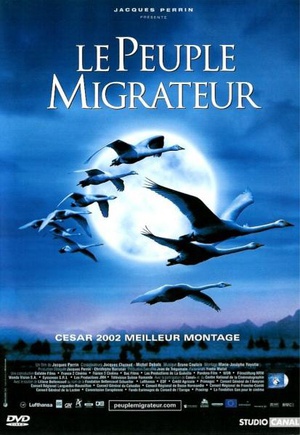 迁徙的鸟 (2001)