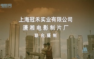 给太太打工 (1997)