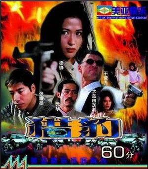 猎豹行动 (1998)