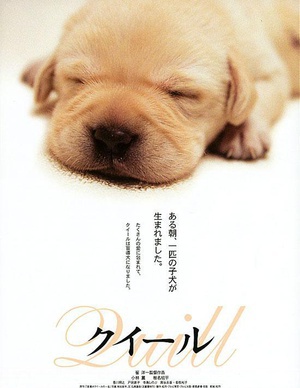 导盲犬小Q (2004)