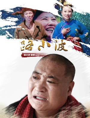 路小波 (2017)