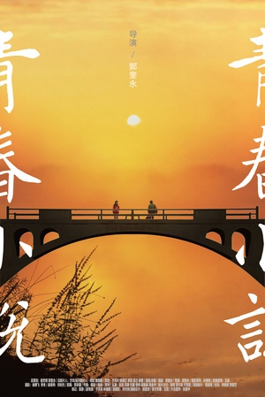 青春小说 (2013)